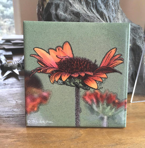 Ceramic Tile  - Galardia 4.25 in x 4.25 in