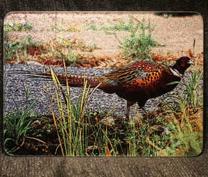 Pheasant Glass Cutting Board -  7.75in  x 10.75in