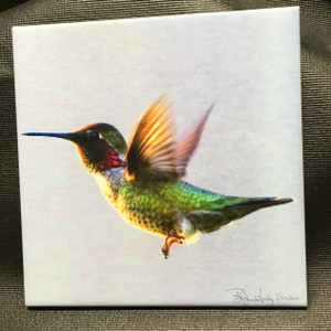Decorative Tile - Anna's Hummingbird Flying  8 In x 8 In