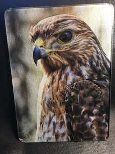 Red Shouldered Hawk Glass Cutting Board 7.75in  x 10.75in