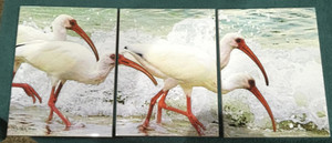 White Faced Ibis Tile Mosaic - 3 - 6 x 8 in Tiles