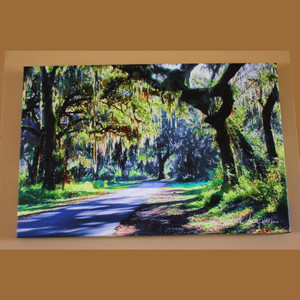 Circle B Bar Ranch - Canvas Print 30 In x 20 In x 1.5 In