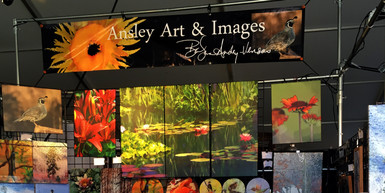 Virtual and Online Shows only for 2020