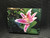 10 Stargazer Lily Blank Note Cards