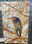 Heron in the Willow Canvas Print 26 In x 16 In x 1.5 In