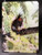 Red Squirrel MT- Glass Cutting Board - 7.75in x 10.75in