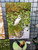 Great White Heron (Facing Right) Canvas Print 26 In x 16 In x 1.5 In