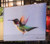Anna's Hummingbird Flying - Glass Cutting Board Large - 12 in x 15 in