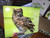 Great Horned Owl Female -Large Glass Cutting Board -  12 in x 15 in