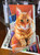 Cat Cutting Board -  Marmalade  10.75 in x 7.75 in