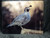 California Quail Large Glass Cutting Board -  12 in x 15 in