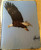 Eagle Glass Cutting Board   7.75in  x 10.75in