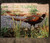Pheasant Glass Cutting Board -  7.75in  x 10.75in