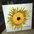 Decorative Tile - Sunflower 8 in x 8 in