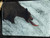 Bear Catching Salmon Glass Cutting Board -  7.75in x 10.75in