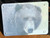 Bear Face Glass Cutting Board -  7.75in x 10.75in