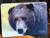 Bear Face Glass Cutting Board -  7.75in x 10.75in