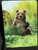 Little Bear -Vertical - Glass Cutting Board -  7.75in x 10.75in