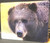 Bear Face - Large Glass Cutting Board - 12 in x 15 in
