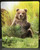 Little Bear - Large Glass Cutting Board - 12 in x 15 in