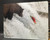 Bear Fishing for Salmon Glass Cutting Board - 12 in x 15 in