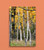Fall Aspen - Canvas Print 30 In x 20 In x 1.5 In