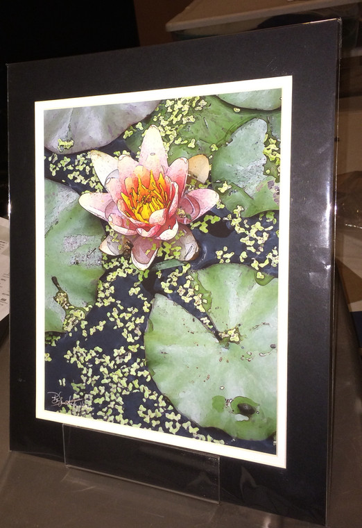 Pink Lily - Matted Print 11 x 14