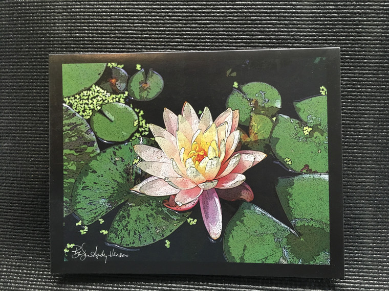 10 Peach Water Lily Blank Note Cards