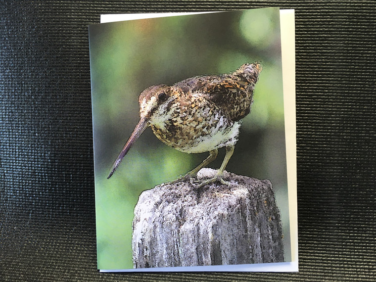 10 Snipe Blank Note Cards