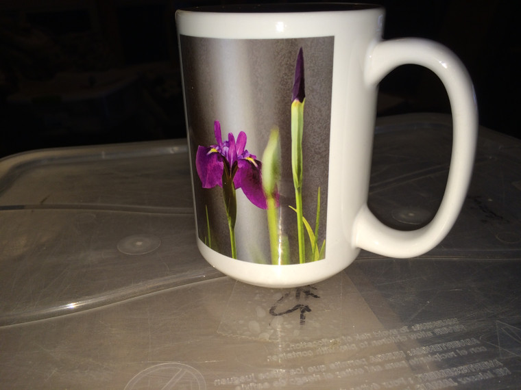 Iris Laevigata Large Coffee Mug 15 oz