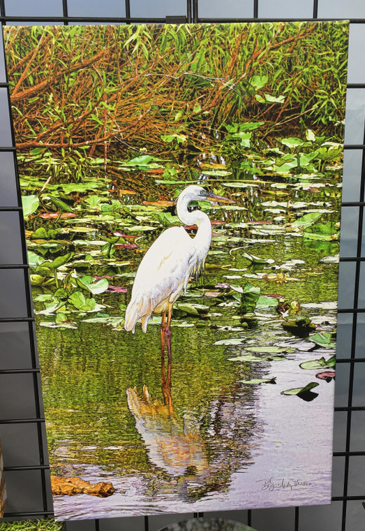 Great White Heron (Facing Right) Canvas Print 26 In x 16 In x 1.5 In