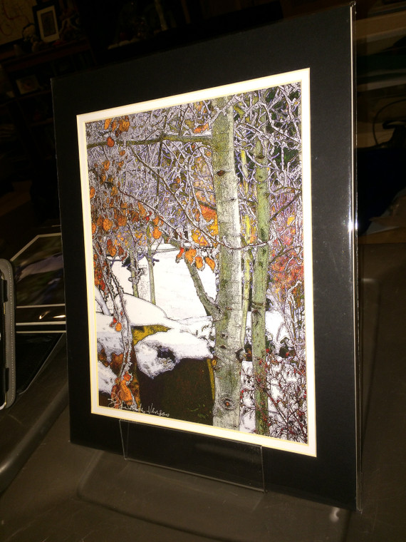 Winter Aspen - Matted Print 11 x 14