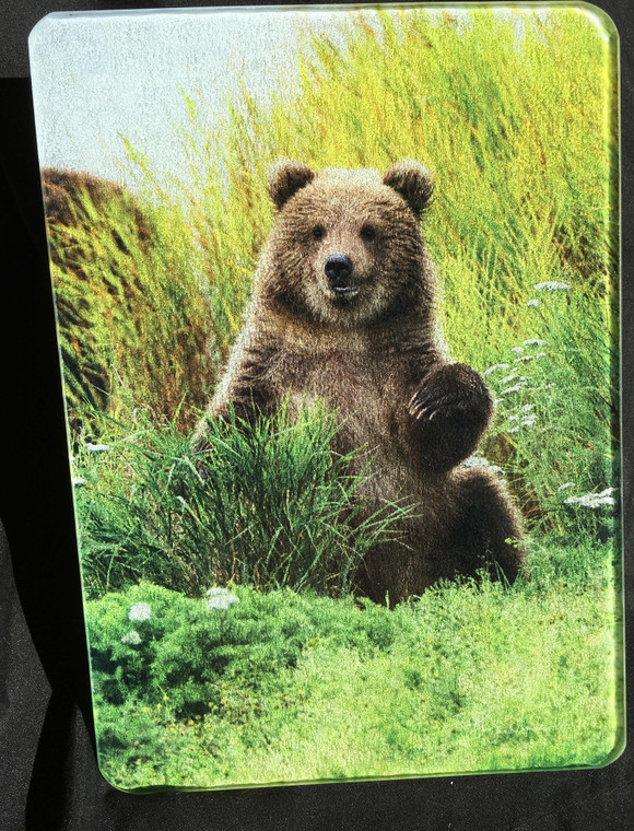 Little Bear -Vertical - Glass Cutting Board -  7.75in x 10.75in