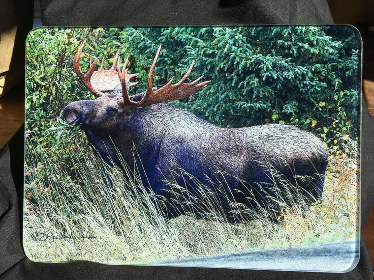 Bull Moose Glass Cutting Board -  7.75in x 10.75in