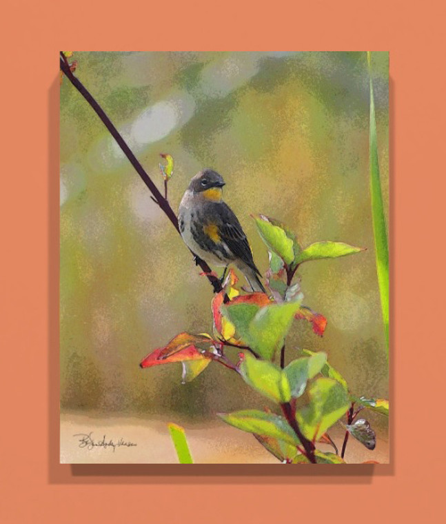 Warbler Canvas Print 20 In x 16 In x 1.5 In