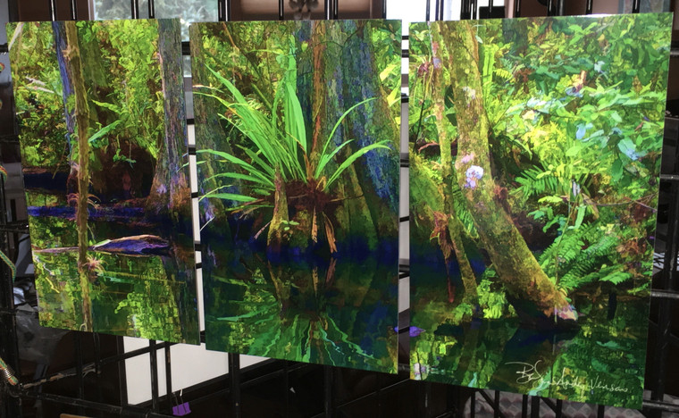 Big Cypress Aluminum Triptych - 3 - 6 x 10 in Tiles (10 in x 18 in)