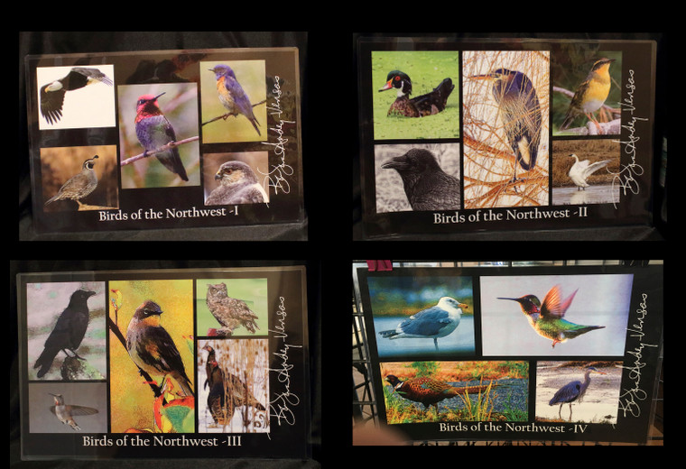 Placemats - Birds of the NW Series - Set of 4