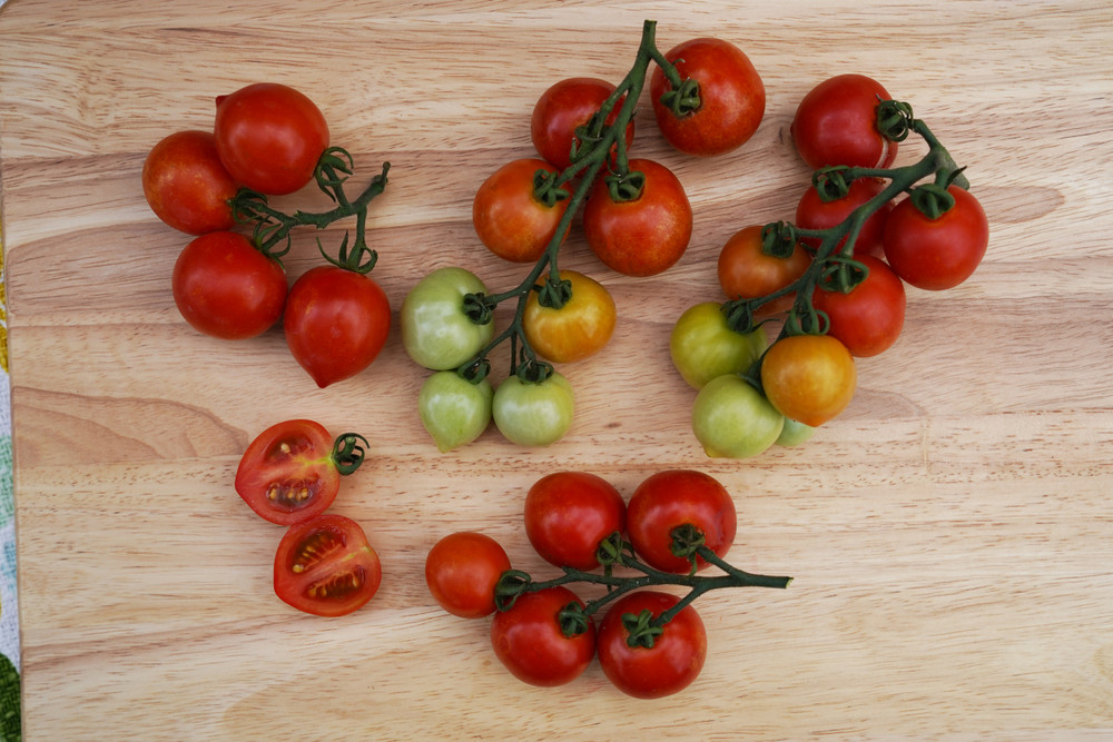 Tomato Tempting Tomatoes® Goodhearted®