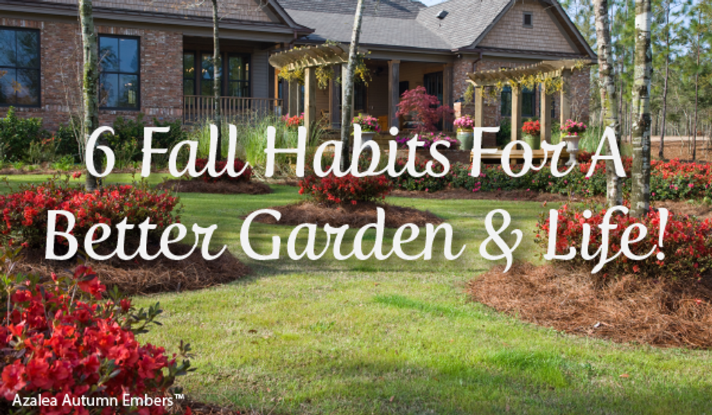 6 Fall Habits For a Better Garden & Life!