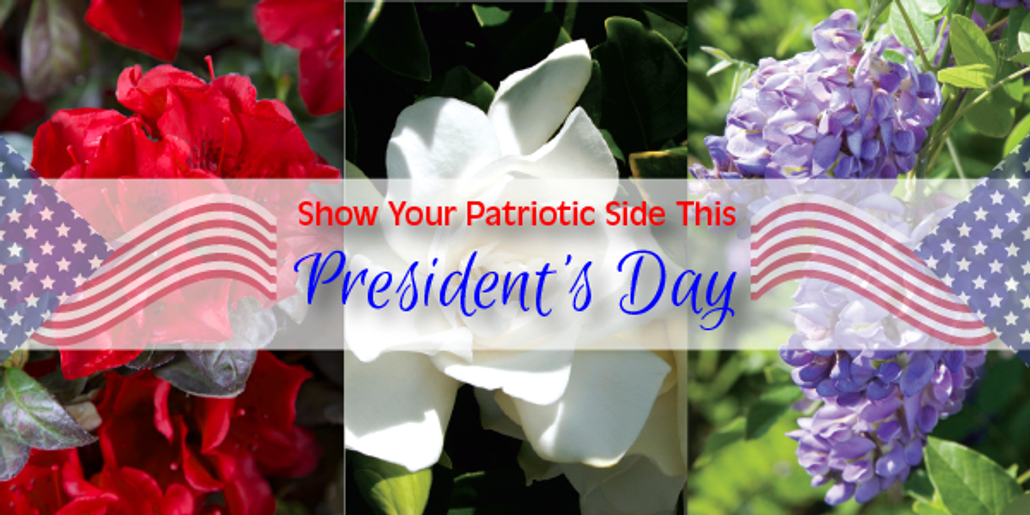 Show Your Patriotic Side This President's Day!