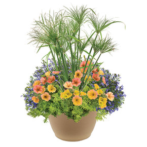 Tut-n-Honey 16" Planter