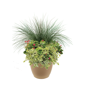 Berried Treasure 16" Planter