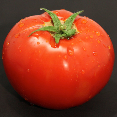 Tomato Tempting Tomatoes™ 'Garden Treasure'