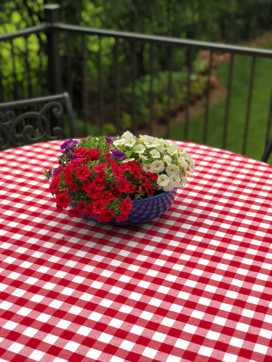 Calibrachoa Superbells® TableTop™ Red