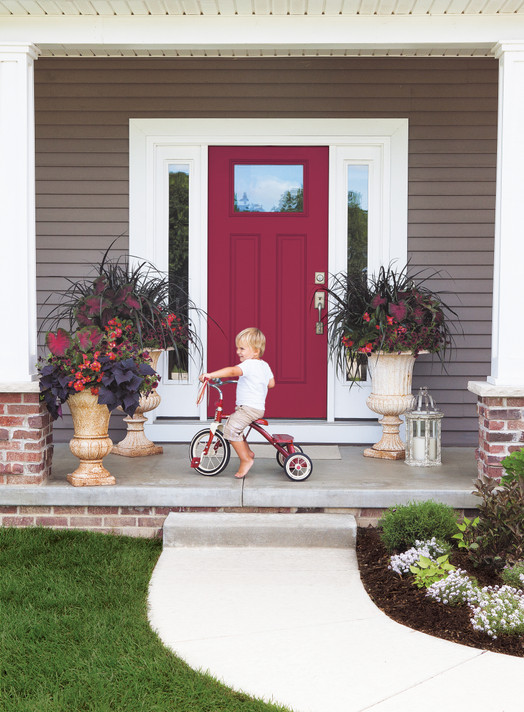 Begonia ben. Surefire® Red