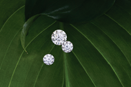 Eco-Friendly Jewelry: Why You Should Consider Lab-Grown Diamonds and Moissanites