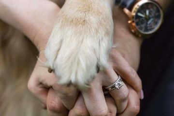 Paws & Promises: Celebrating Love with Furry Friends in Your Wedding