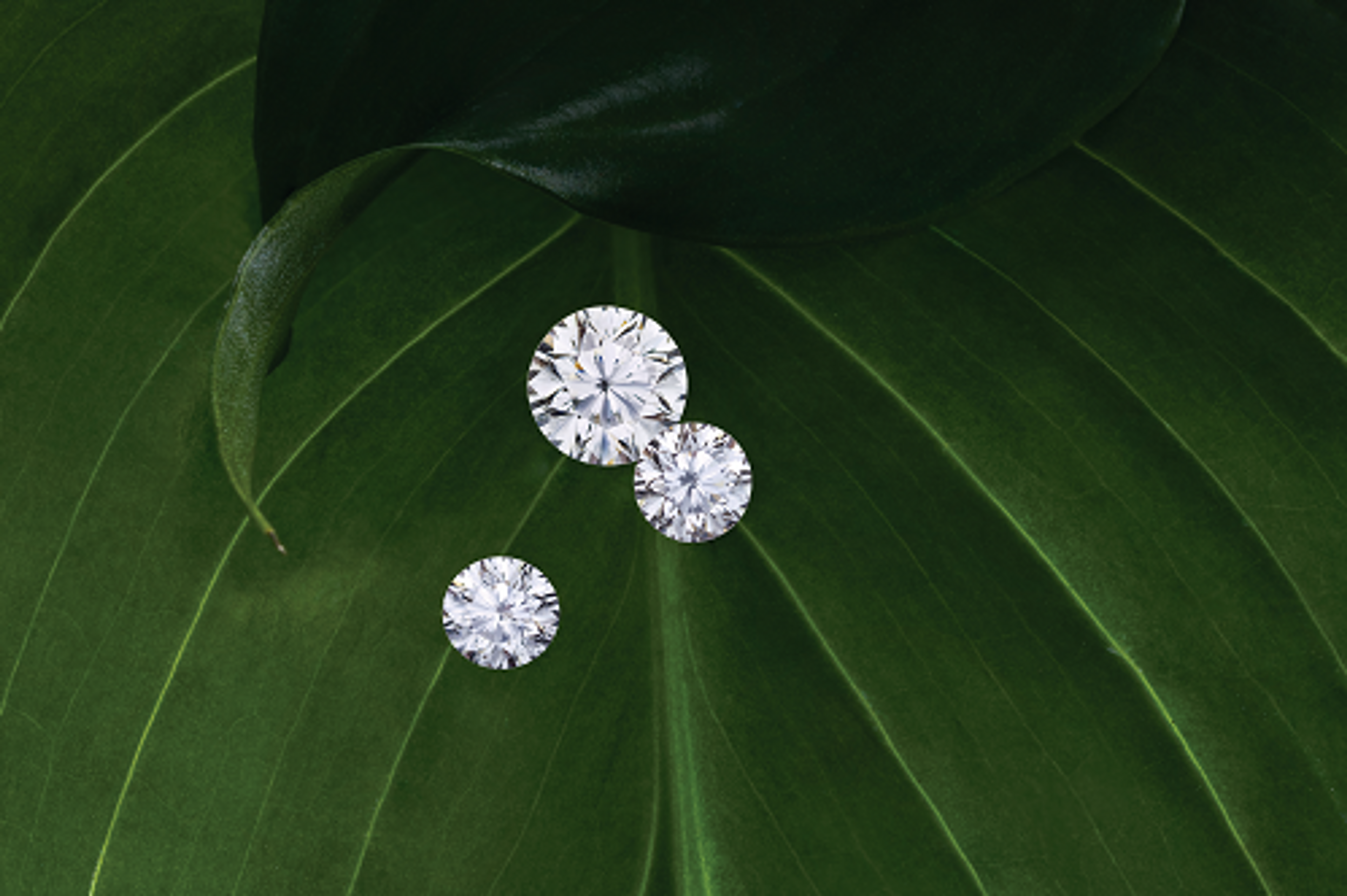 Eco-Friendly Jewelry: Why You Should Consider Lab-Grown Diamonds and Moissanites