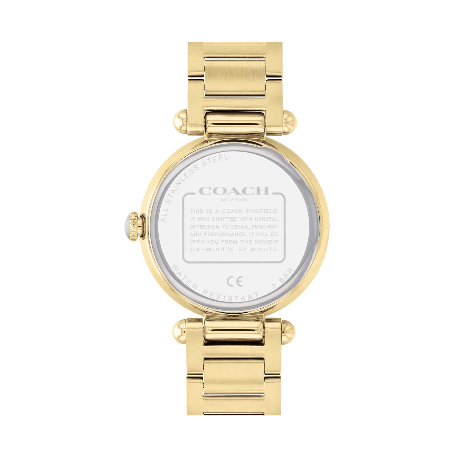 COACH 34MM Cary Gold Mother-of-Pearl Women's Watch