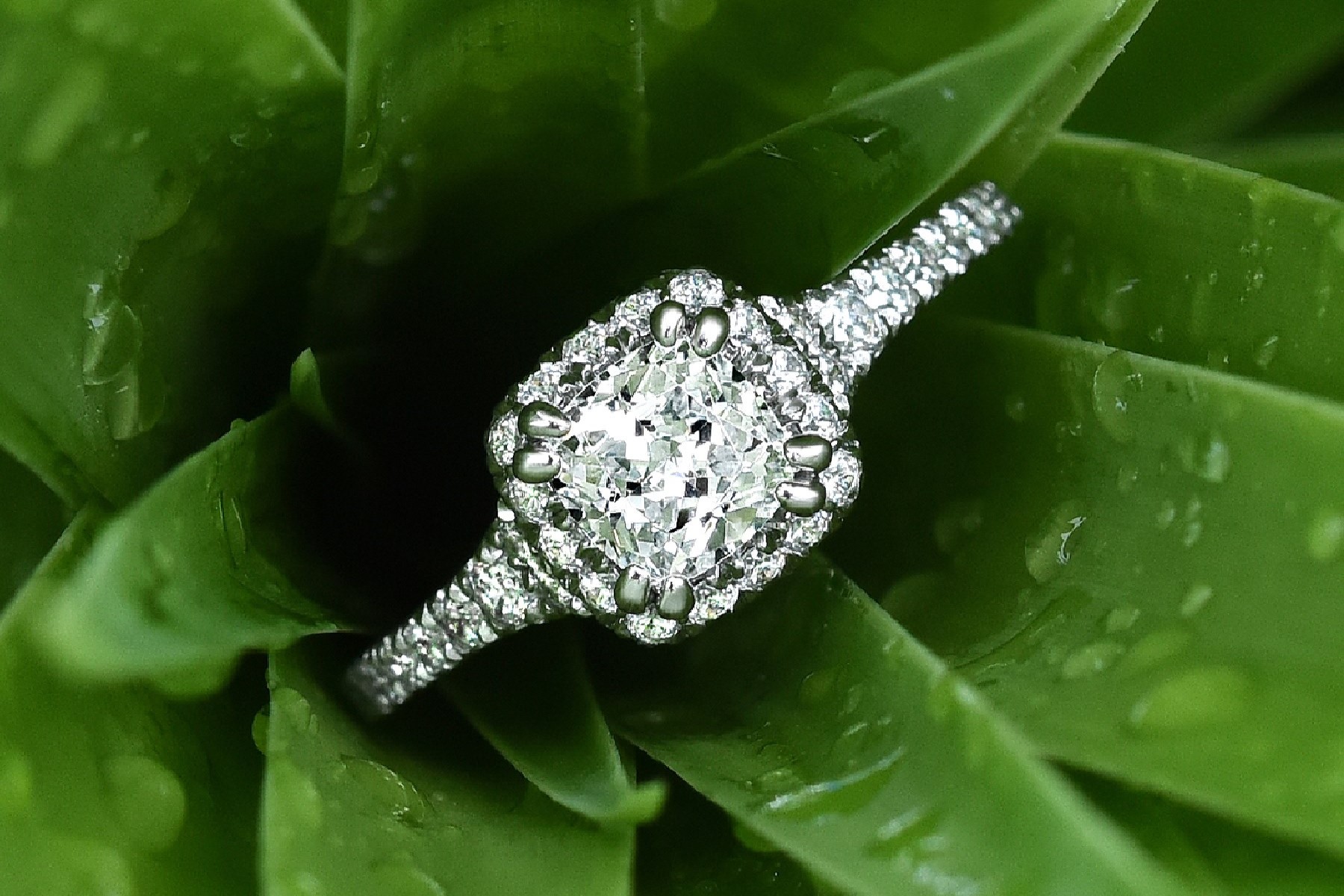 Are Diamonds Rare? Gage Diamonds